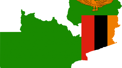 Замбия — система образования, подтверждение диплома и других документов, консульство