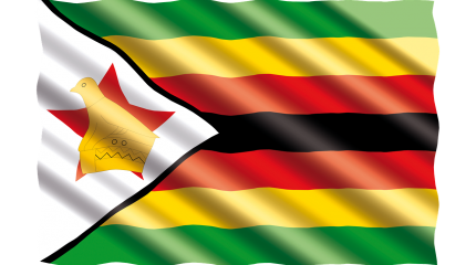 Зимбабве — система образования, подтверждение диплома и других документов, консульство